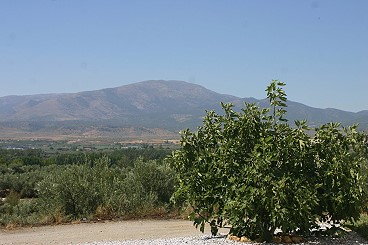 Die Haust�r von Innen.